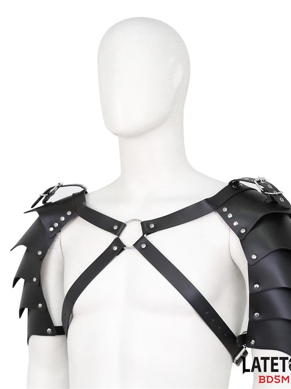 Arnés de Hombros Ajustable · Sujeción Superior