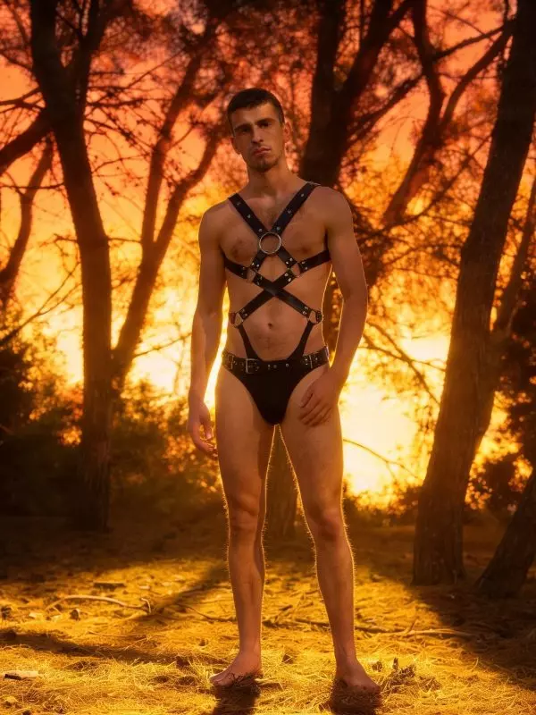 Arnés de Cuerpo Entero Leather · Full Gear